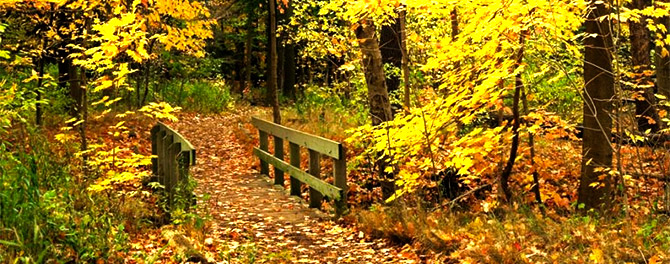 fall is time to prepare for winter