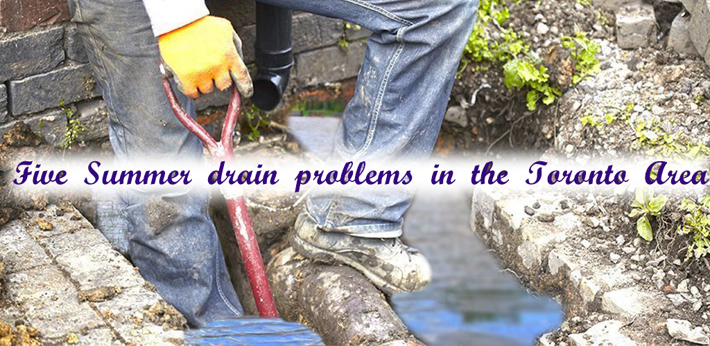 summer drain problem - ADP toronto plumbing