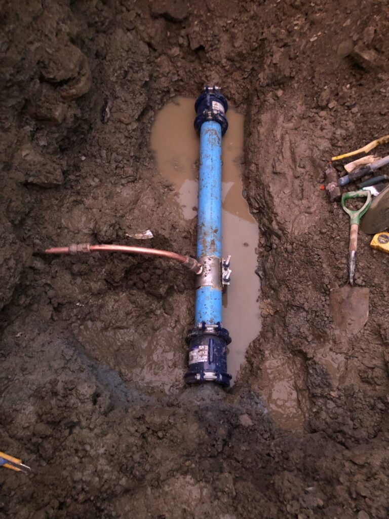 img 2174 original scaled 1